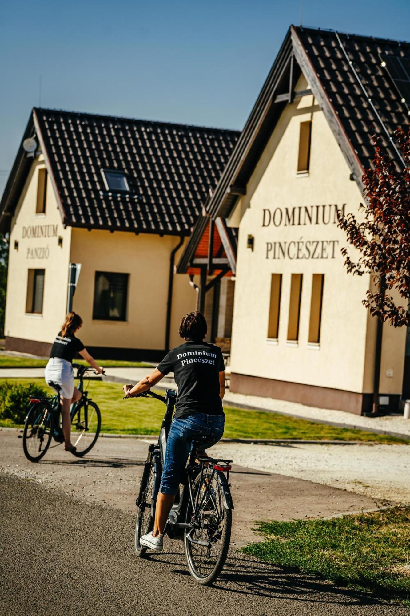Dominium Pinceszet Es Panzio Bed & Breakfast Gyöngyös Екстериор снимка